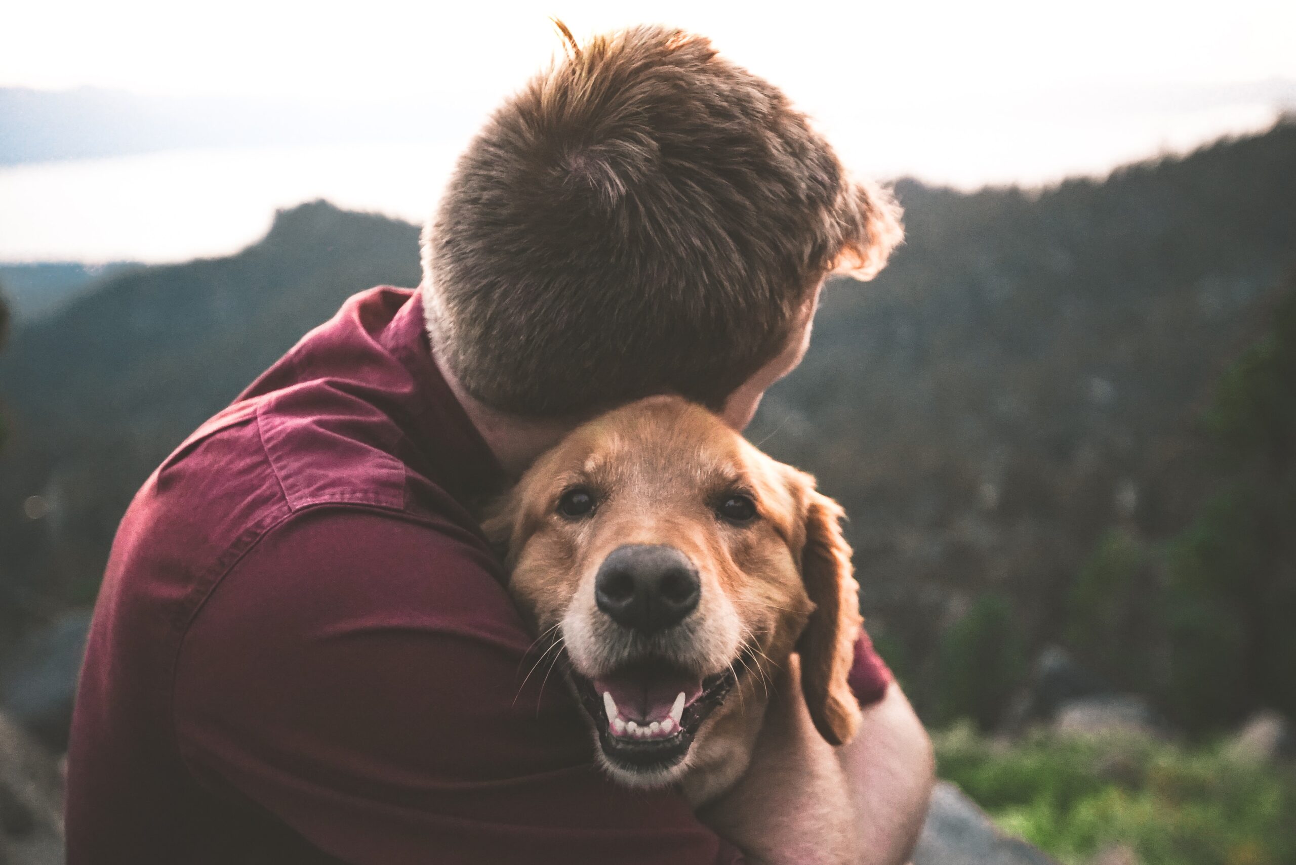 Therapy Dogs Bring Comfort to Students on College Campuses